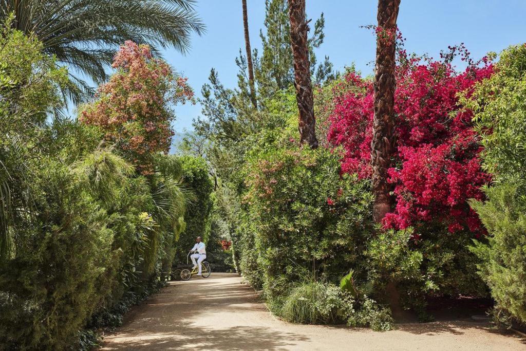 Parker Palm Springs Ξενοδοχείο Εξωτερικό φωτογραφία