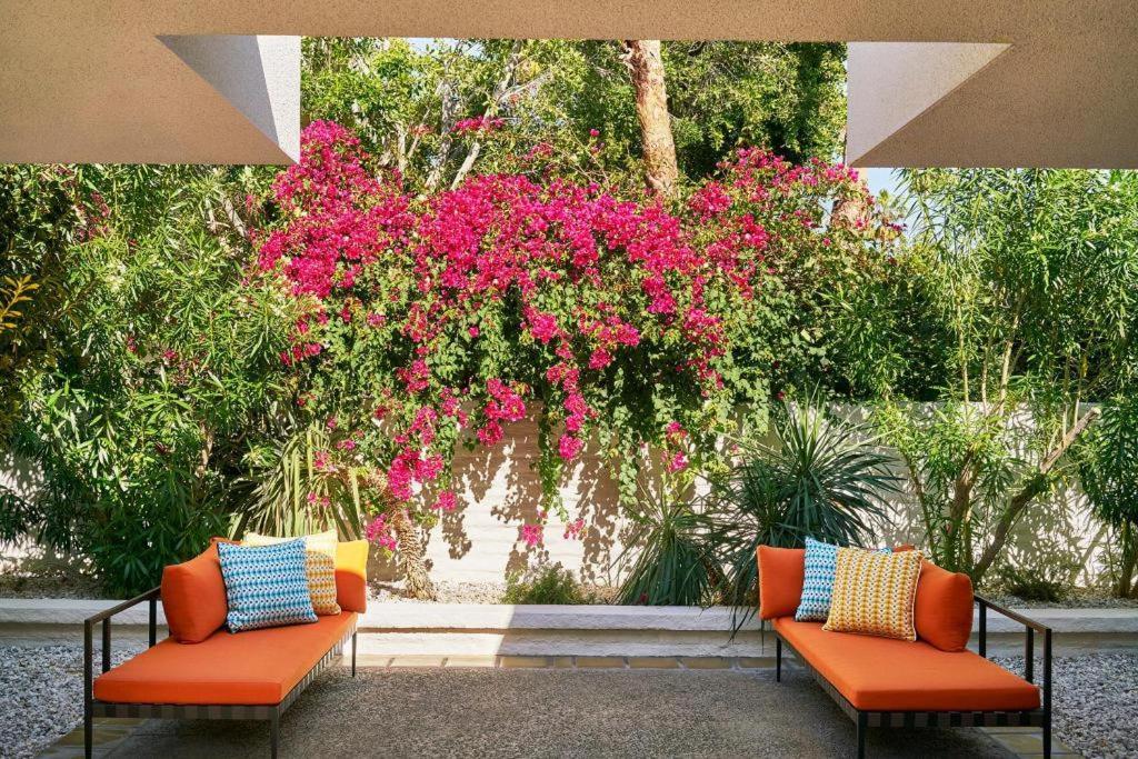 Parker Palm Springs Ξενοδοχείο Εξωτερικό φωτογραφία